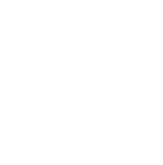 Auto Finesse