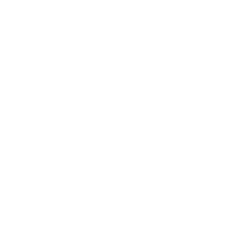 Ceramic Pro