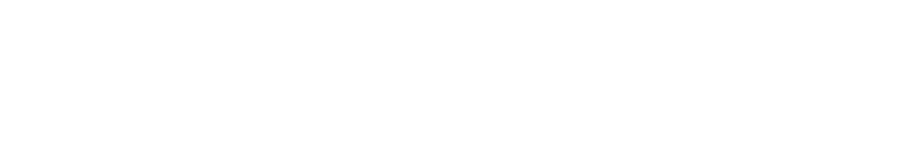 FEYNLAB